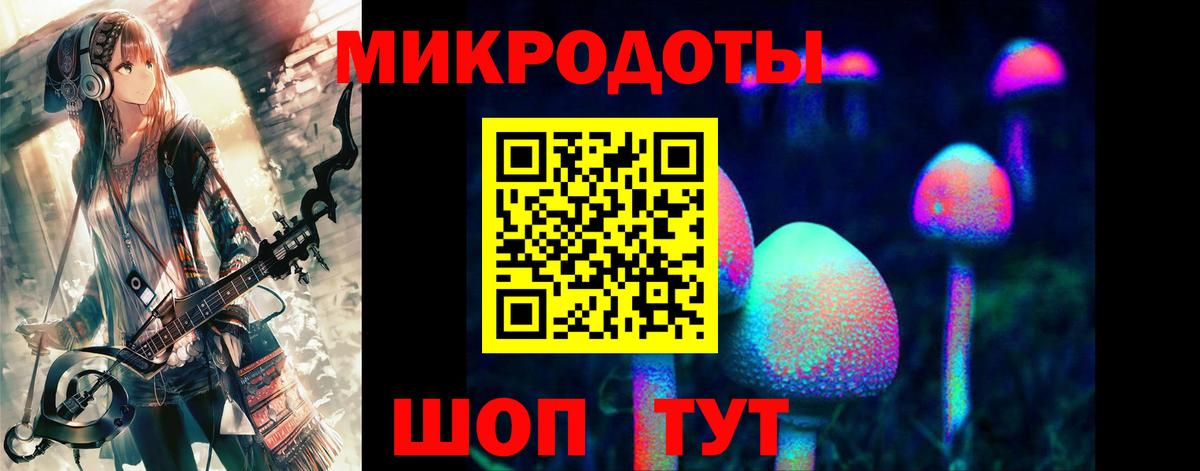 Галлюциногенные грибы Psilocybe Пенза